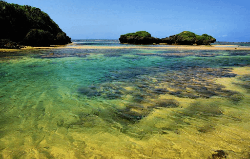 Iriomote Island walking trails in Japan