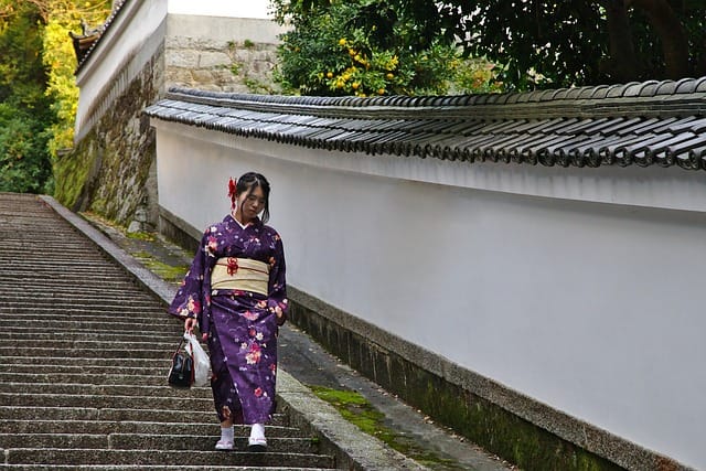A geisha walking down a stone staircase in Gion