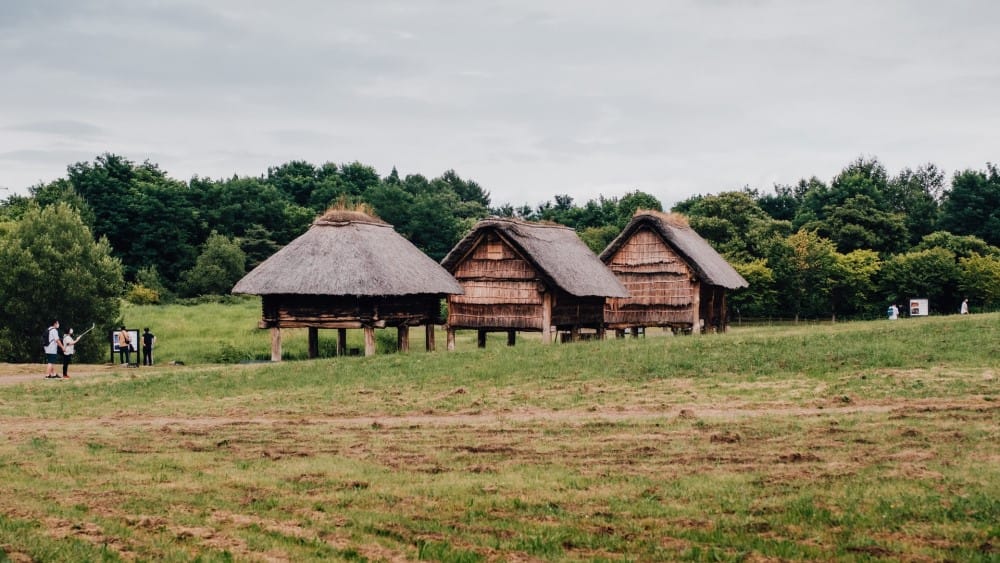 huts in the ancient Japanese style in a field