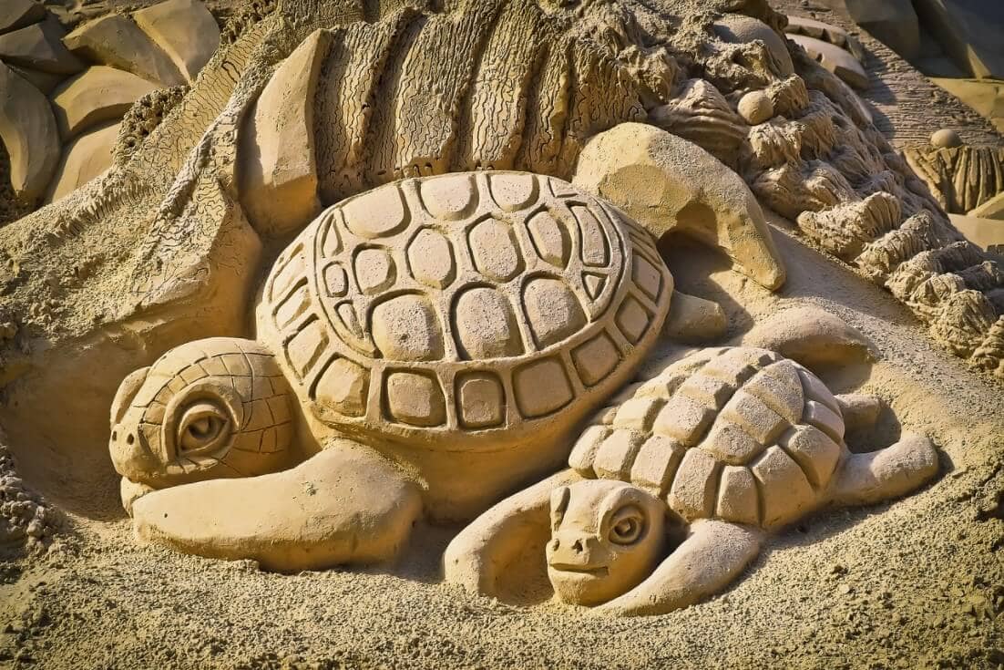 A sand sculpture of a turtle.
