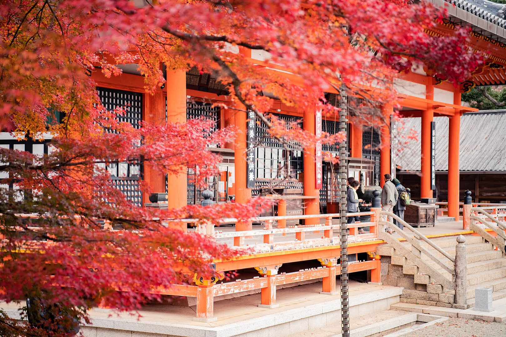 Japanese temple and red autumn leaves