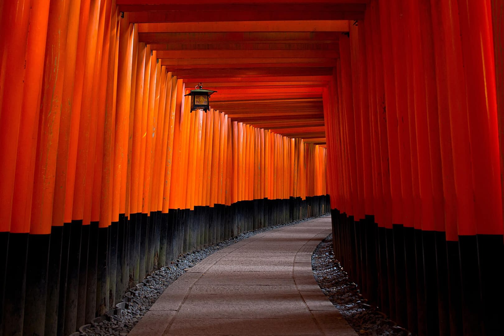 Torii alleyway in Kyoto, Japan