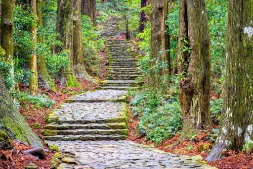 A set of scenic stone steps within a forest in Kumano