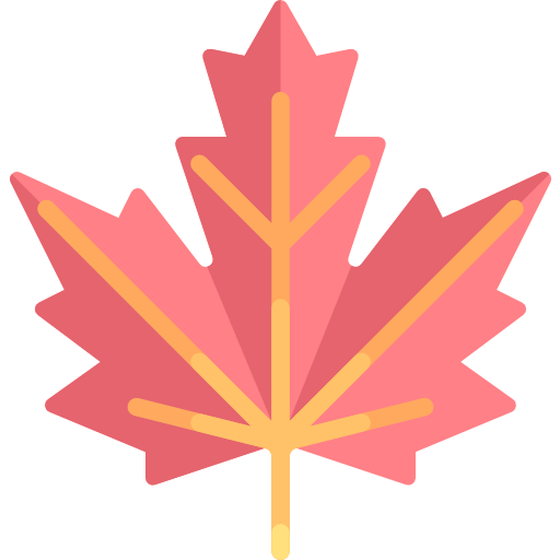 Maple leaf illustration