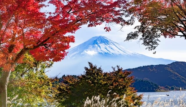 Fuji and autumn leaves, in Kawaguchiko, Yamanashi prefecture