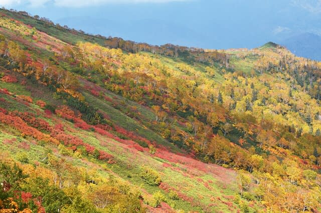 Autumn leaves of Ginsendai (Hokkaido, Kamikawa Town, Daisetsuzan)