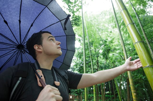 foreign man in bamboo forest in Japan in summer