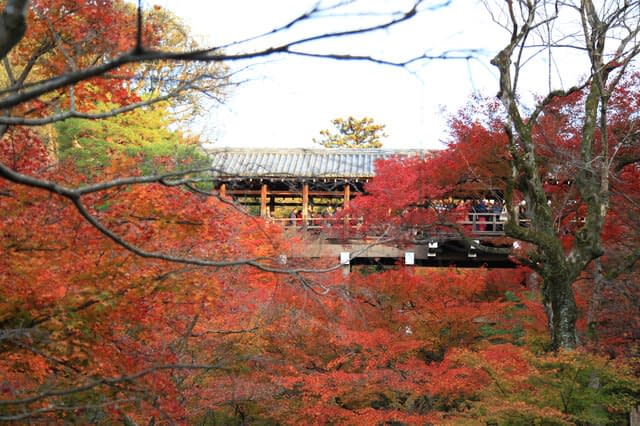 Tofukuji Temple