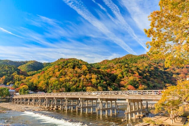 Arashiyama autumn leaves
