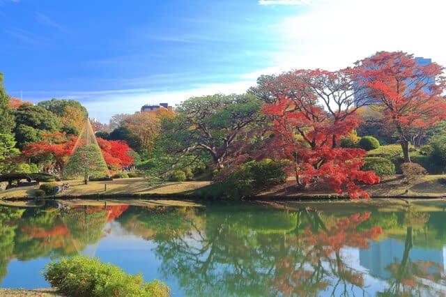 Autumnal leaves Rokugien