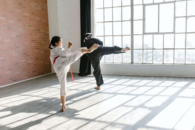 Martial Mayhem: Why Everyone Should Throw a Punch
