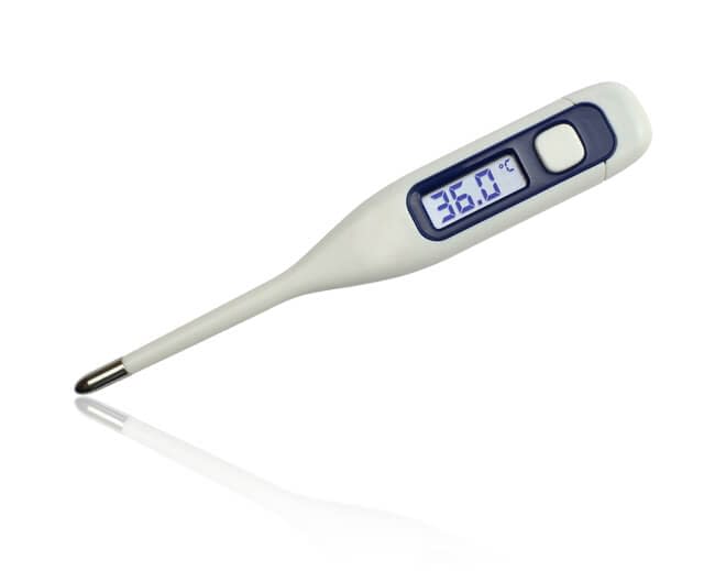 36 degrees Celsius on clinical electronic thermometer on white background