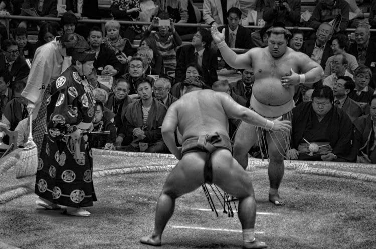 Sumo wrestling match