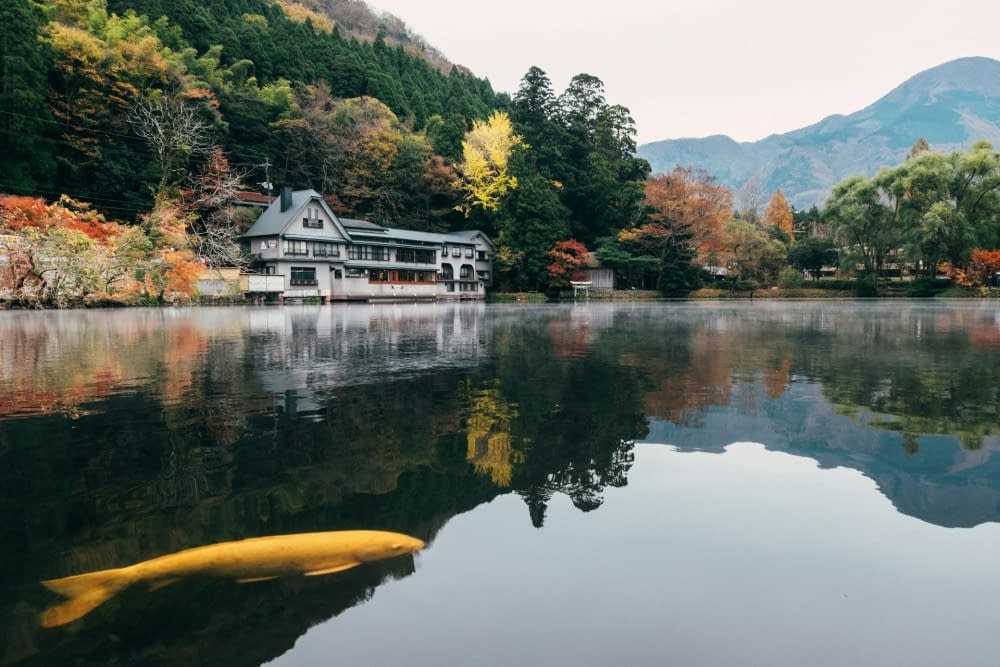 A vibrant yellow fish swims by a house in the crystal-clear waters of Yufuin, Japan.