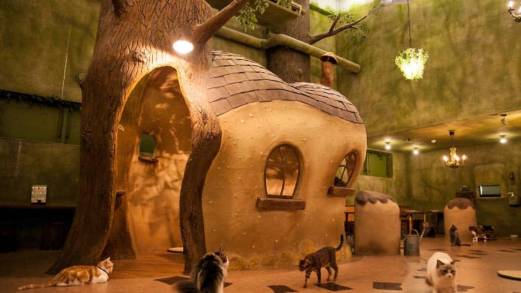 Forest fantasy little cottage surrounded by cats