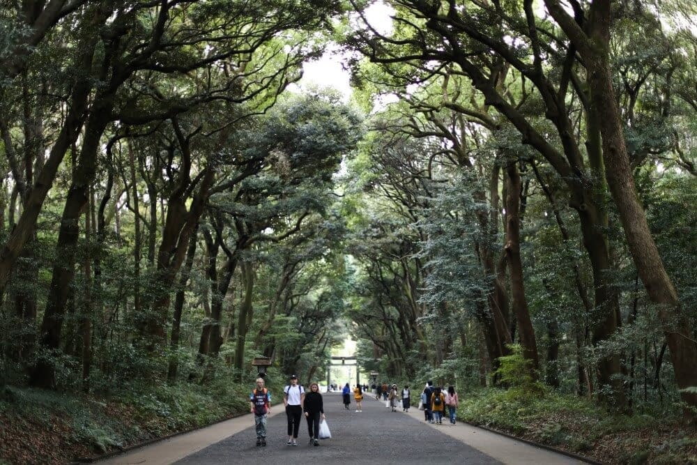 large torii gate surrounded by trees