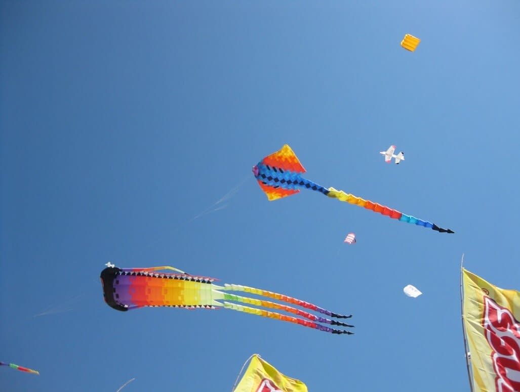 Kites flying in a blue sky.