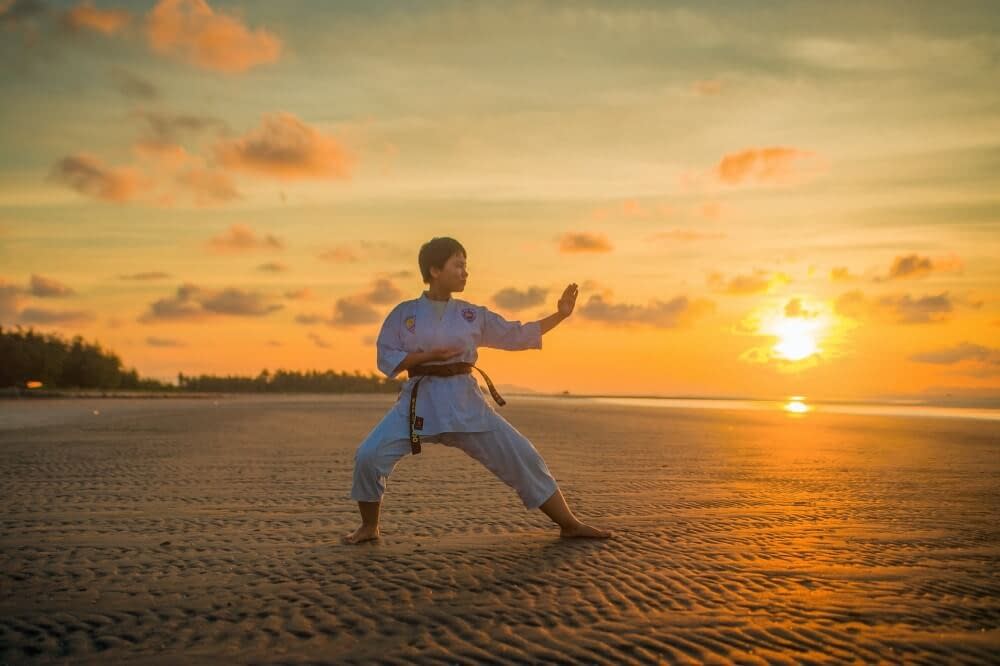 man in a martial arts pose