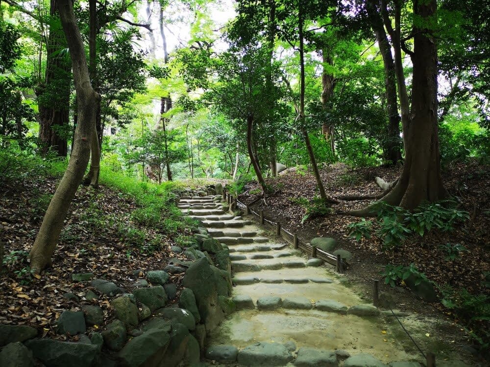 A cobble stone path winding through the Koishikawa garden forest.