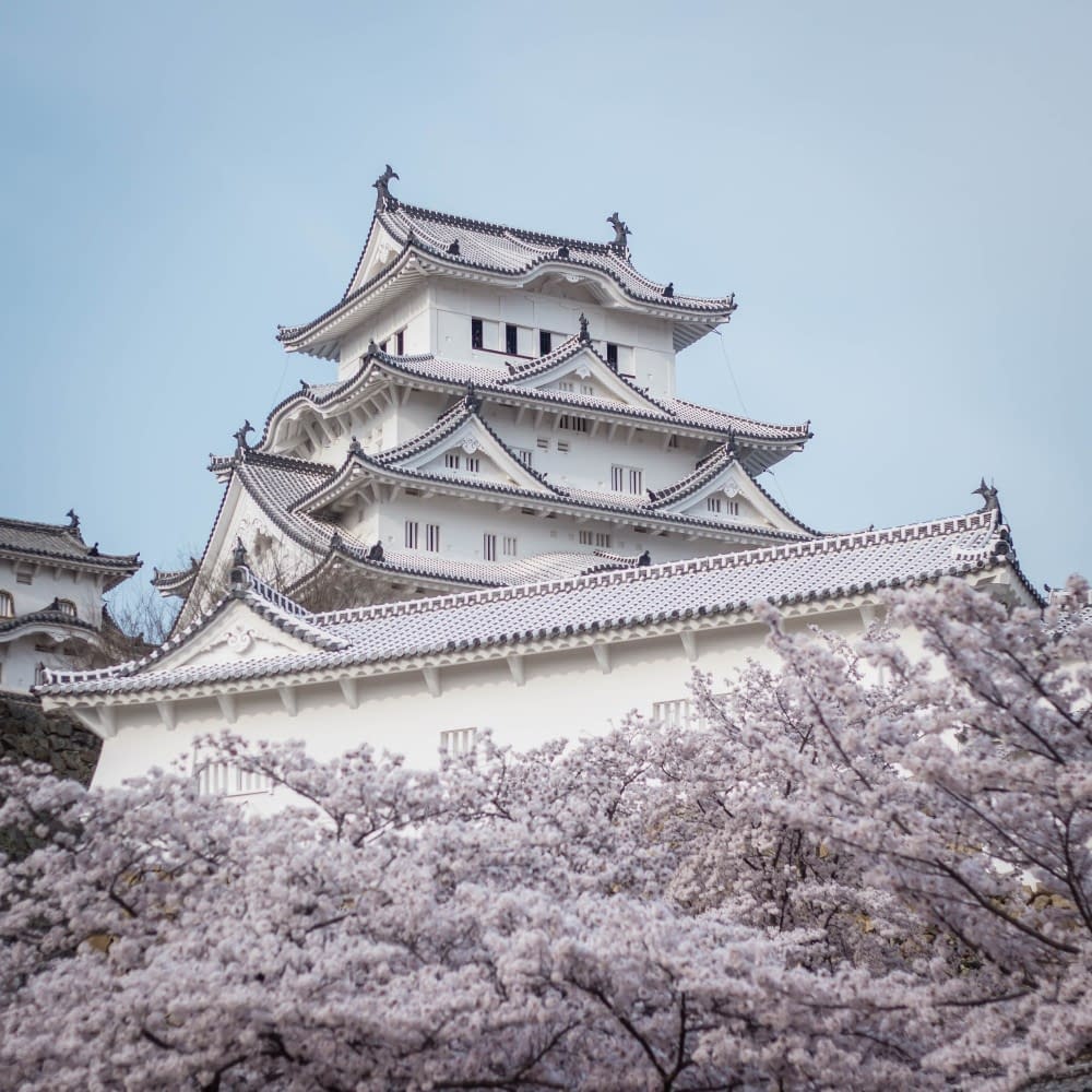 himeji-castle-with-cherry-blossom-trees