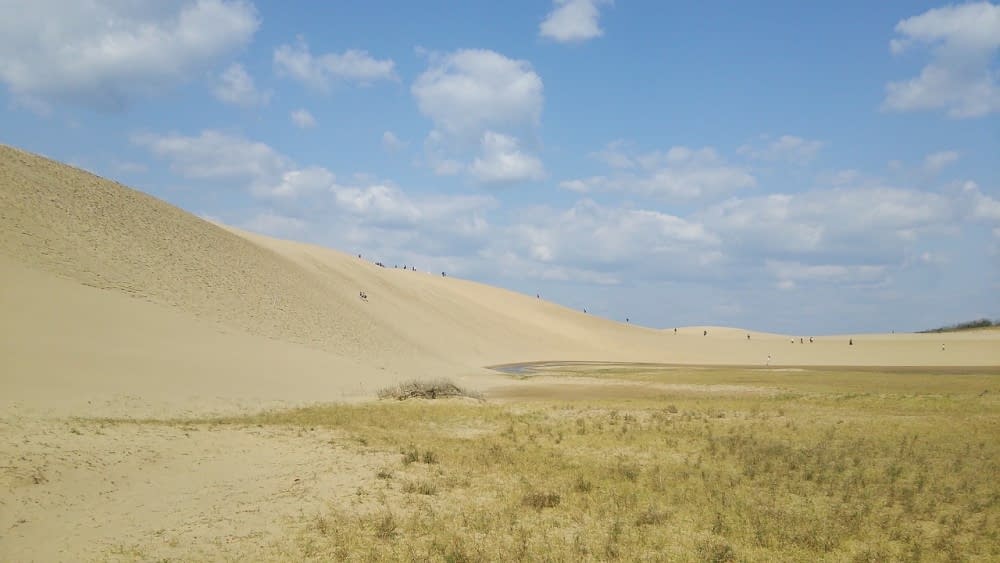 tottori-sand-dunes