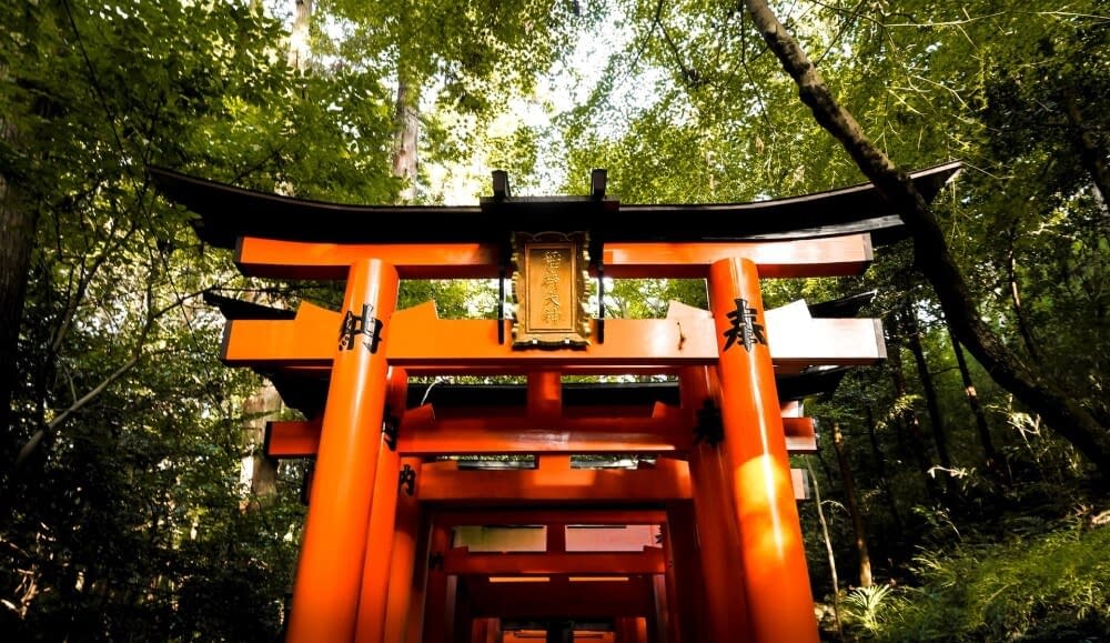 the beginning of a tunnel of torii gates