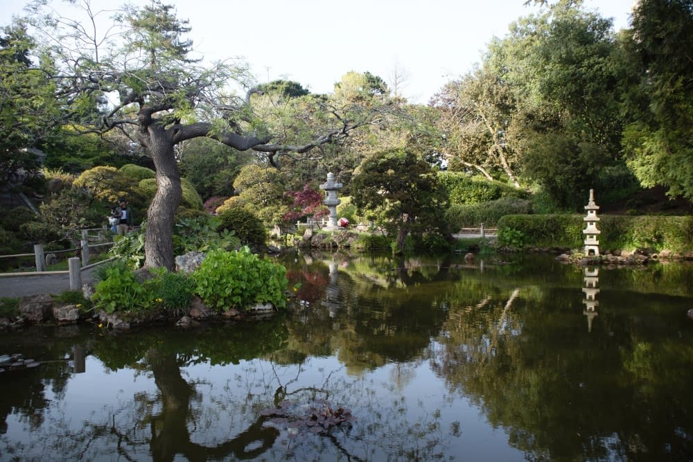 japanese-koi-garden