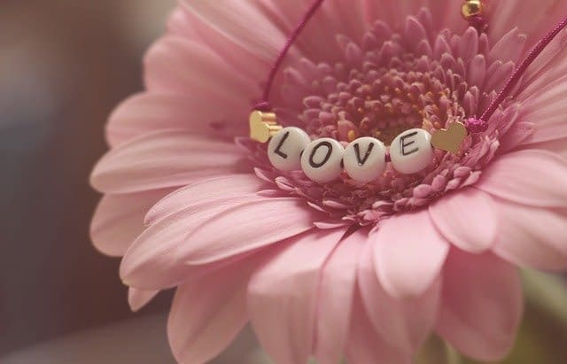 A pink flower with a bracelet that says ‘love’ resting on top of it.