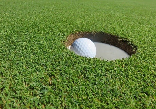 A golf ball in the hole